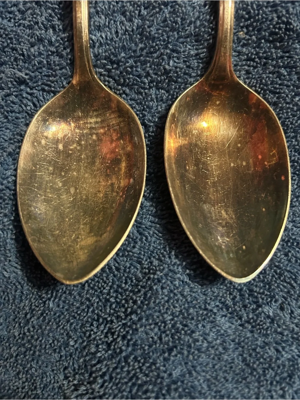 Silver Tone Stainless Dessert Spoon - Set of 2